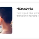캐드필 이미지