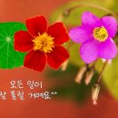 1월 상장주 우진엔텍, 포스뱅크, 현대힘스, HB인베스트먼트 매도 후기