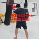 티에프멀티짐건대MMA