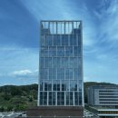 몸과 마음 힐링, 아로마테라피 | [울산/중구] 몸과 마음이 풀리는 시간, 울산 중구 테라피짐 110분 힐링 후기ㅣ테라피짐