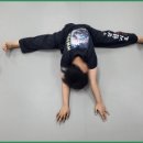 화랑합기도 특공무술 이미지