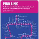 핑크라인 이미지