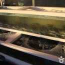 서해꽃게전문점 이미지