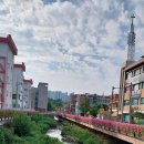 국화어린이공원 이미지