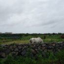 추사김정희유배지 이미지