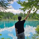 댕아지-댕댕이들이 아름다워지는 지금 이 순간 | 🇯🇵 인디고트래블 비에이 버스투어 내돈내산 후기 :: 혼자 여행으로도 부담 없었던 투어