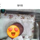 뉴서울세탁 | 인천 서구 | 뉴마더맘 산후조리원