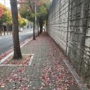 용산1동주민센터 | 용산1동행정복지센터 가는 길~