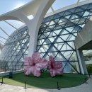 마곡자연숲어린이집 | 서울식물원 후기 마곡 데이트 코스 온실 추천계절 기족나들이 가볼만한곳