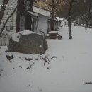 우드밸리키즈펜션 네이버블로그