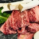 이집이좋겠네 이미지