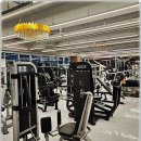 웰니스핏 이미지