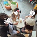 호주여행 Sydney편 9 / 시드니