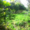 경산상대온천 이미지