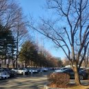 와부체육문화센터 | 수원 영통 가성비 운동 수원체육문화센터 필라테스 후기