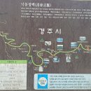 도리 회리 티스토리