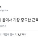 브릭스피자 이미지
