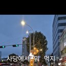 씨씨알 수제맥주 이미지