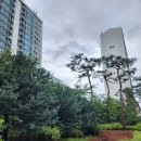 삼산공인중개사사무소 이미지