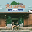 나홀로민박 이미지