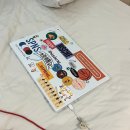 THE 메달리스트 복싱 GYM | 혼자 여행 3일차 | sting club 무에타이, SO SOOD the good noodles, 도이수텝 야경투어, 로띠 마라꼬치...