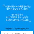 단골공인중개사사무소 이미지