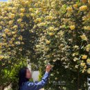 목향별관 이미지