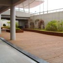 담양체육관 이미지