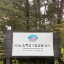 [10월 가을 단풍 산행] 단양 ‘소백산’ 천동탐방지원센터 ~ 비로봉 코스 :: 왕복 6시간 20분 ⛰️ 주차...