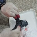 리더몬드 에스테틱 부산동래본점 이미지