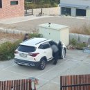 고성하얀나무집 이미지