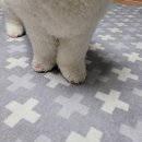 루미살롱 이미지