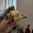 프롤라돌산점 | 여수 현지인 맛집 프롤라 돌산 패밀리 레스토랑