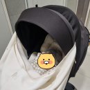 평화플라워 | [내돈내산] 맘노코 방풍커버&모기장 라떼 크림플라워 후기(사이러스2 착용)
