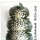 원우메디 이미지