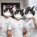 목화상회