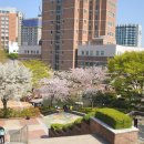 경성대학교 이미지