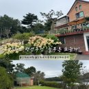 강화도 늘푸른 펜션 이미지