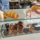 중마애견 이미지