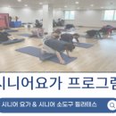 요가소도구필라테스D 이미지