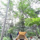 화왕산자연휴양림야영장 이미지