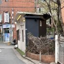 베이비 피그 Baby Pig 이미지