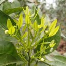 승연농장 이미지