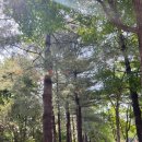 헬로시티 이미지