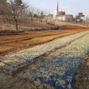 아마골농장 이미지