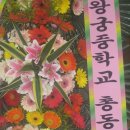 왕궁중학교 이미지