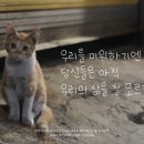 GS편의점 앞(터미널 방향) 네이버블로그