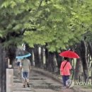 소나기 - 창원시 의창구 팔용로 417 | 소나기