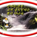 숲속이야기 이미지