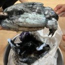 신광사거리 (연동입구방면) | 체크인, 점심=>제주공항 렌터카/이호테우해수욕장/구엄리 돌염전 일몰 /제주투어패스 타임 제로 이용 후기